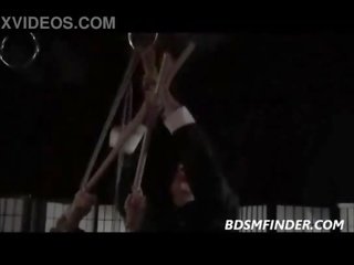 Amarrado shibari suspended e espancado